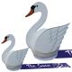 Swan